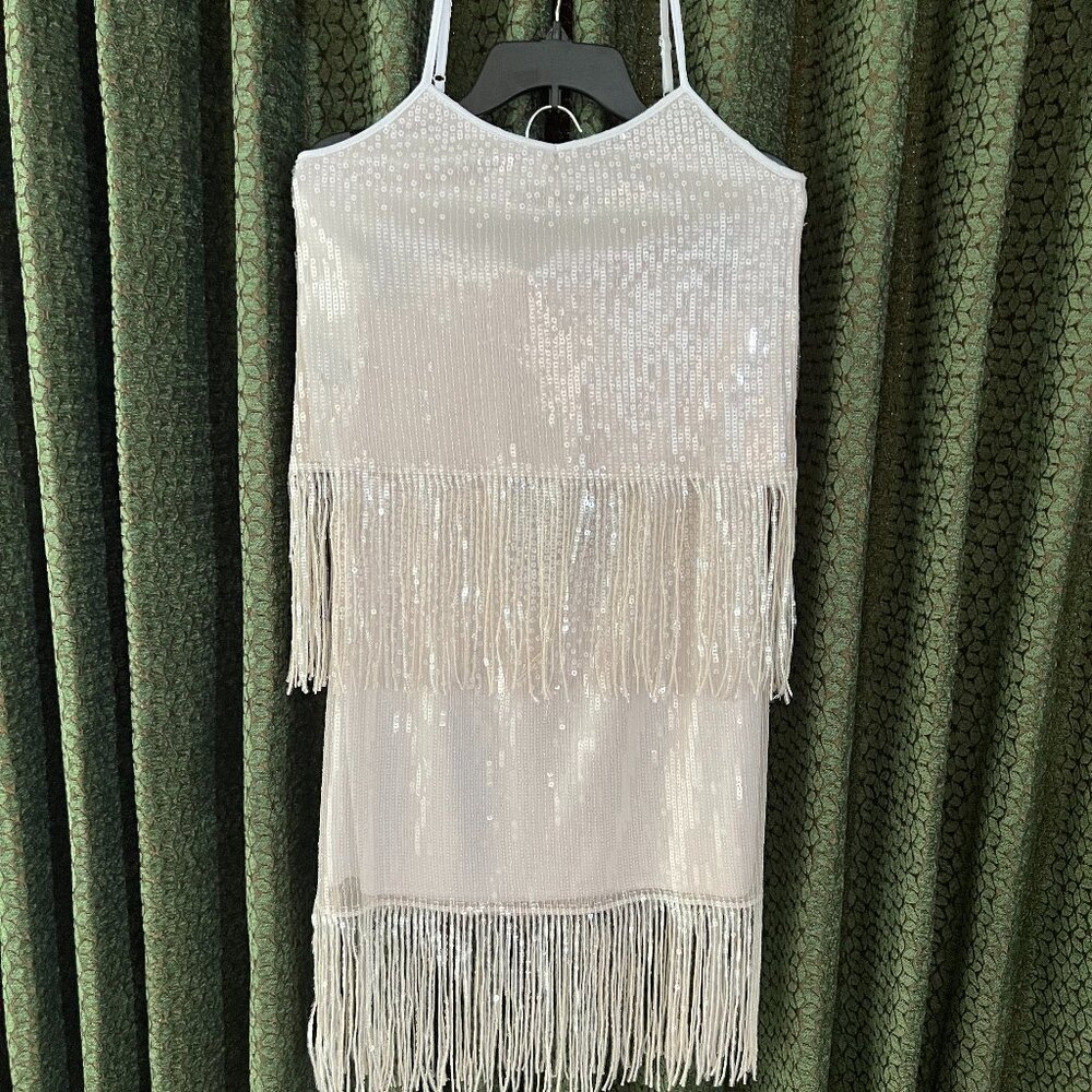 Brand New 2-piece Adrienne Landau Onyx   Women formal Sequin & Fringed dress